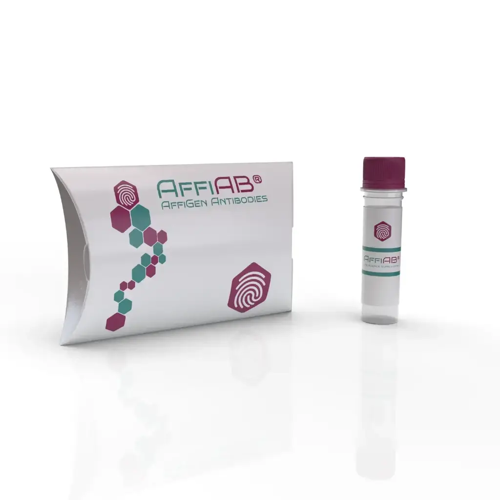 AQP1 Antibody - 100µg