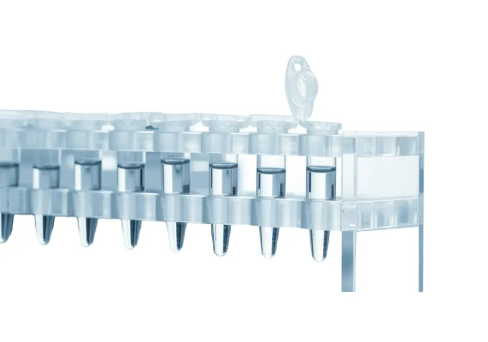 Human Lung tumor cDNA