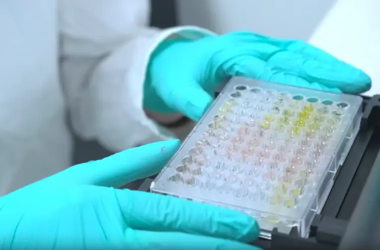 Human IL-17F ELISA Kit