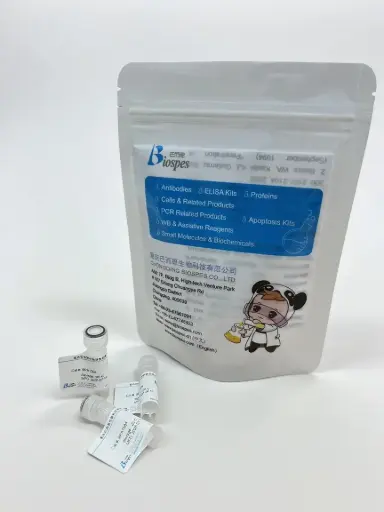 Amikacin (Mouse monoclonal)