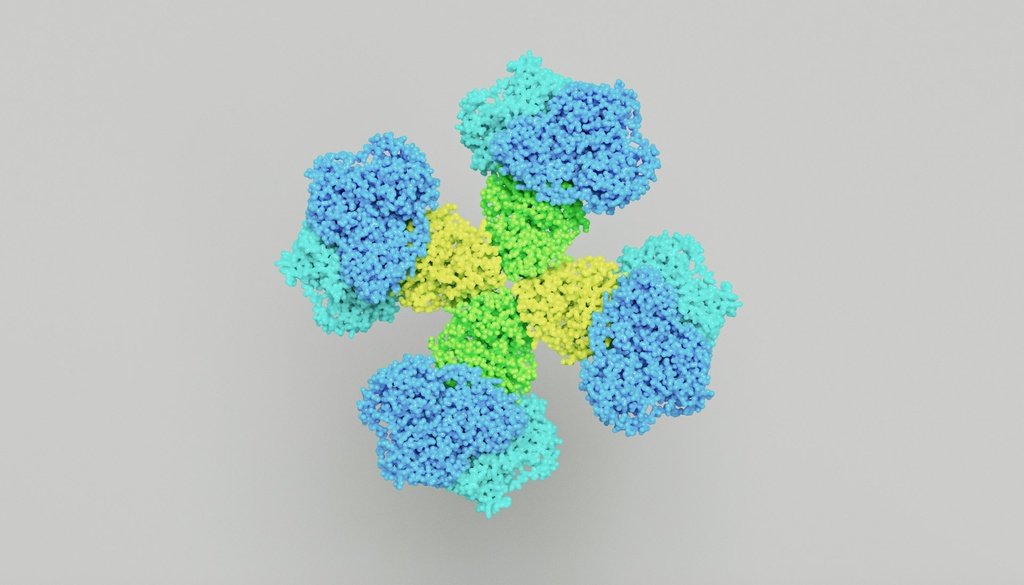 VE- Cadherin Antibody - 100µg