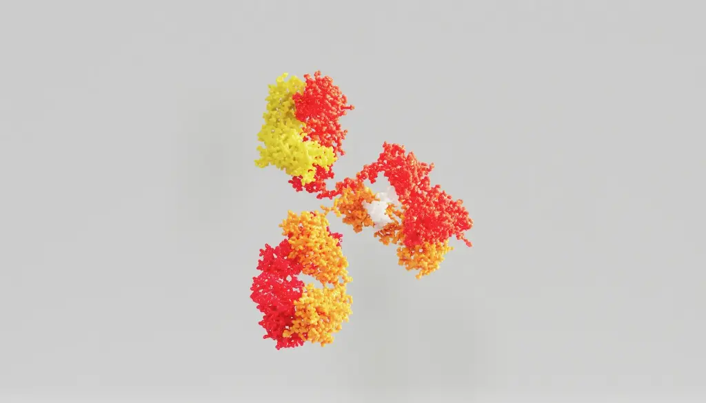 GPR21 Antibody - 100µg