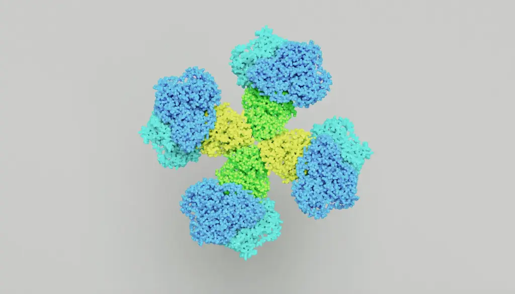 FOXL1 Antibody - 100µg