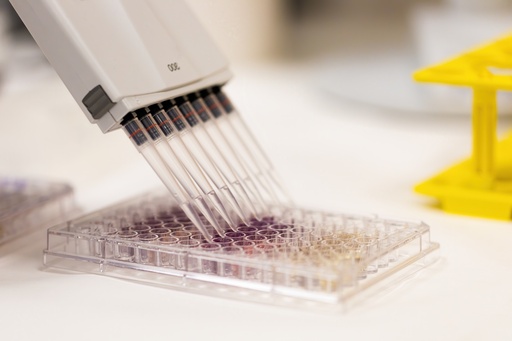 [TP458] RoboStrip 8 well strip (0.2 ml) polycarbonate clear - 125 Strips