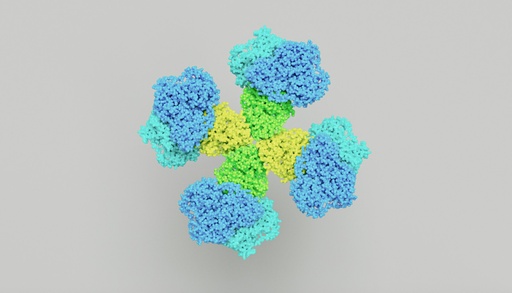 [ABF6265] VE- Cadherin Antibody - 100µg
