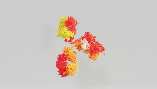 [ABD2802] GPR21 Antibody - 100µg